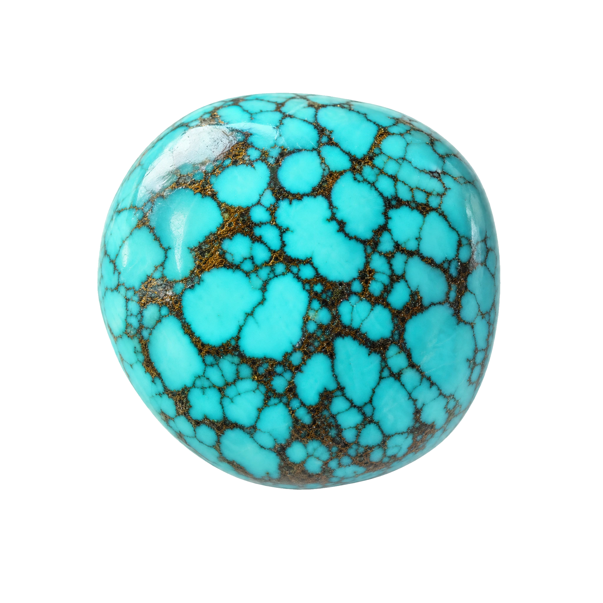 Reference illustration: grouped rough natural turquoise nodules with varied blue-green color and brown host-rock matrix.
